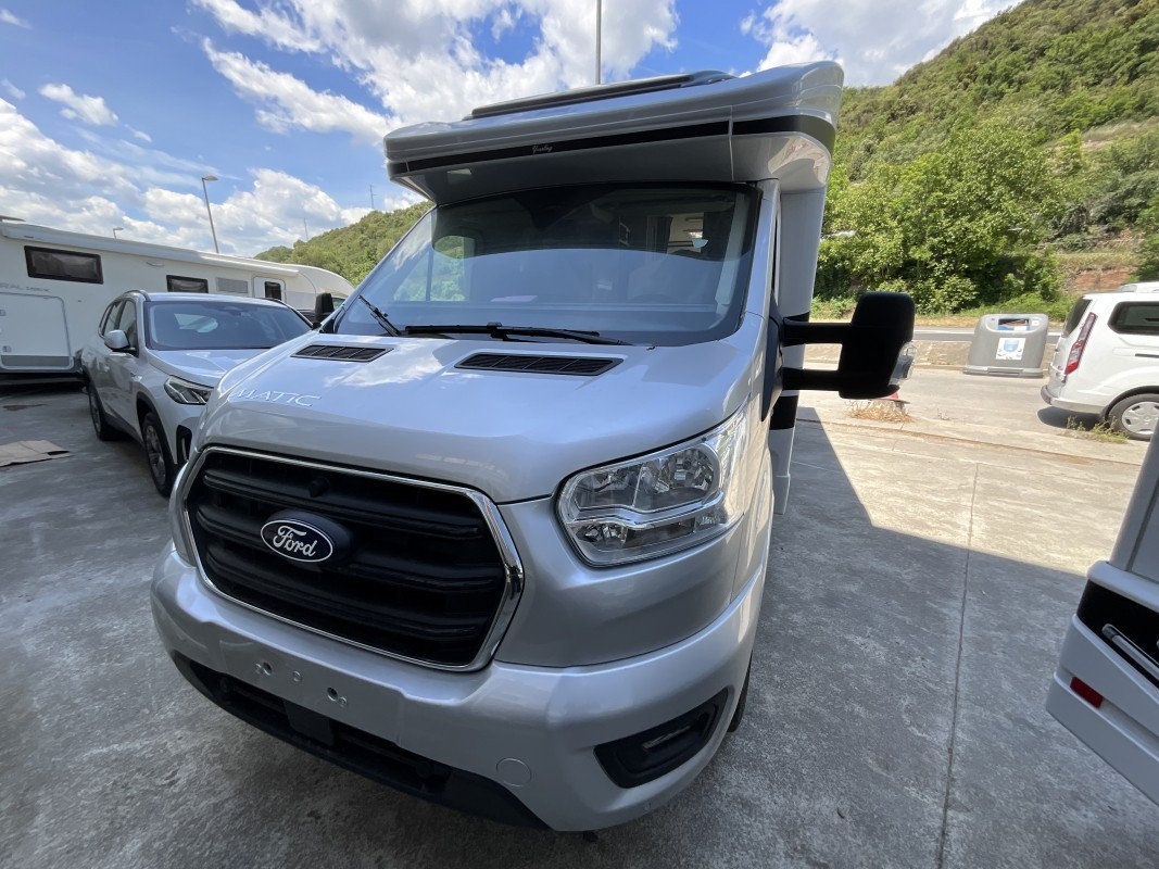 McLouis YEARLING 70